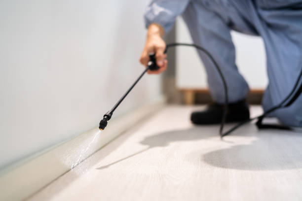 Licensed Termite Control service in Trimble County County, KY - Nex Pest Control