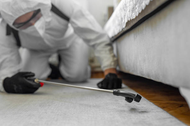 Professional Termite Control technician working in Trimble County County, KY